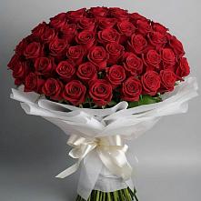 Букет 101 Красная роза Блэк Мэджик в Ветлуге