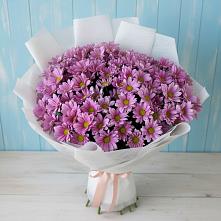Букет цветов из:  Хризантемы в Ветлуге