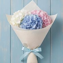 Букет цветов из:  Гортензия в Ветлуге