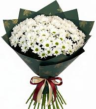 Букет цветов из:  Хризантемы в Ветлуге