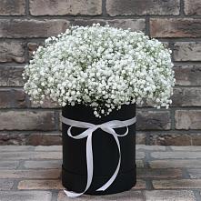 Цветочная композиция из Гипсофила в шляпной коробке в Ветлуге