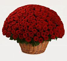 Премиум букет из: Розы #REPLACE_PRED# Ветлуге