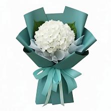 Букет цветов из:  Гортензия #REPLACE_PRED# Ветлуге